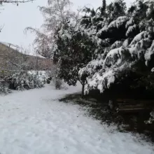 hiver antre des vices