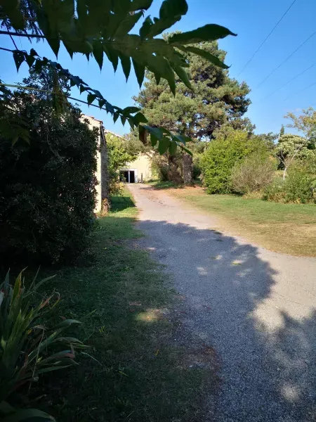 automne antre des vices